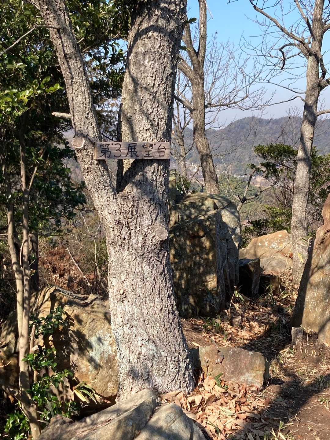 竜王山 往復コースの写真
