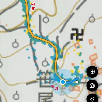 神社⛩️まで　車かな？！と