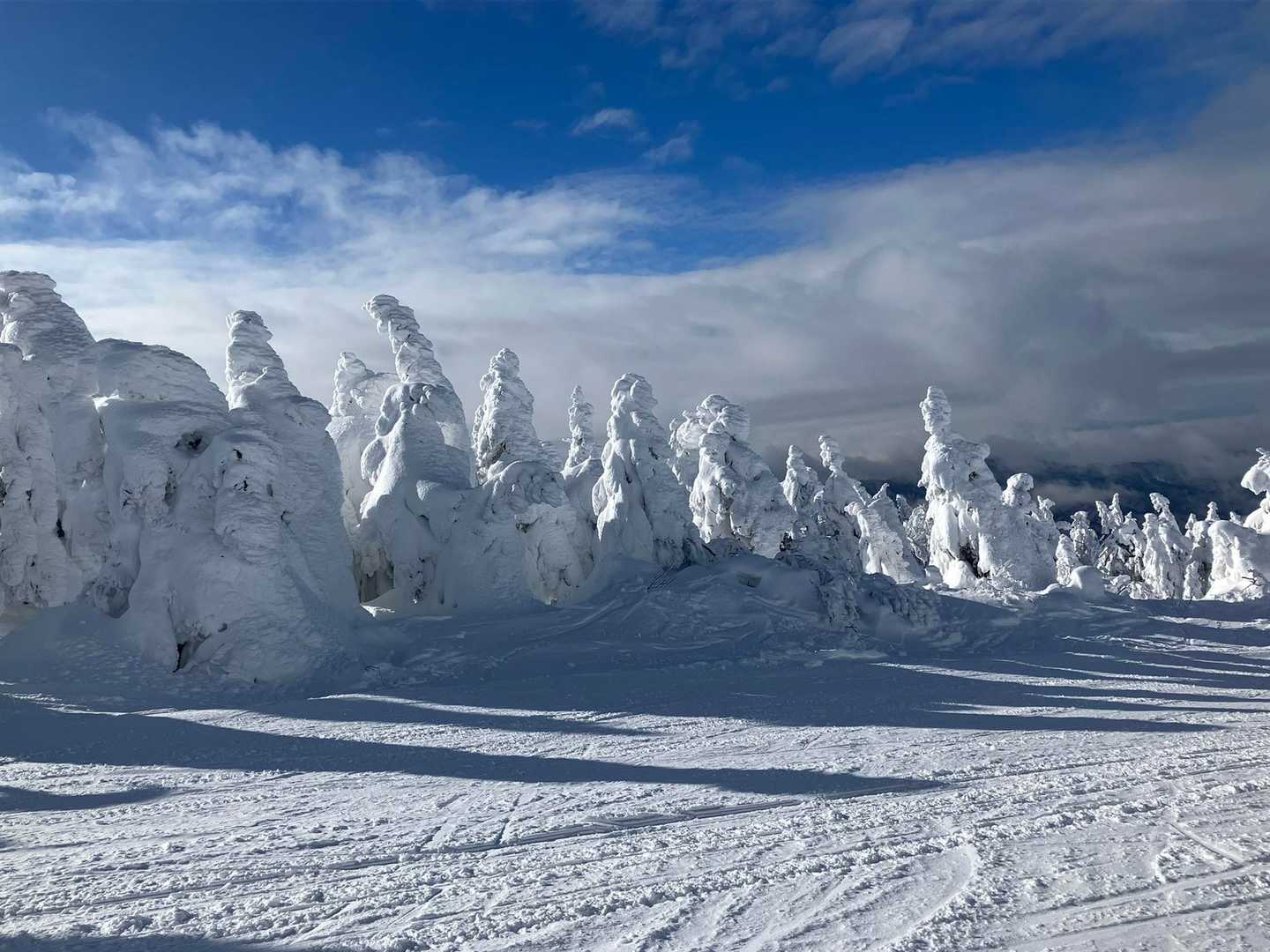 蔵王ライザワールド-仙人沢コース登山口-刈田岳 往復コースの写真