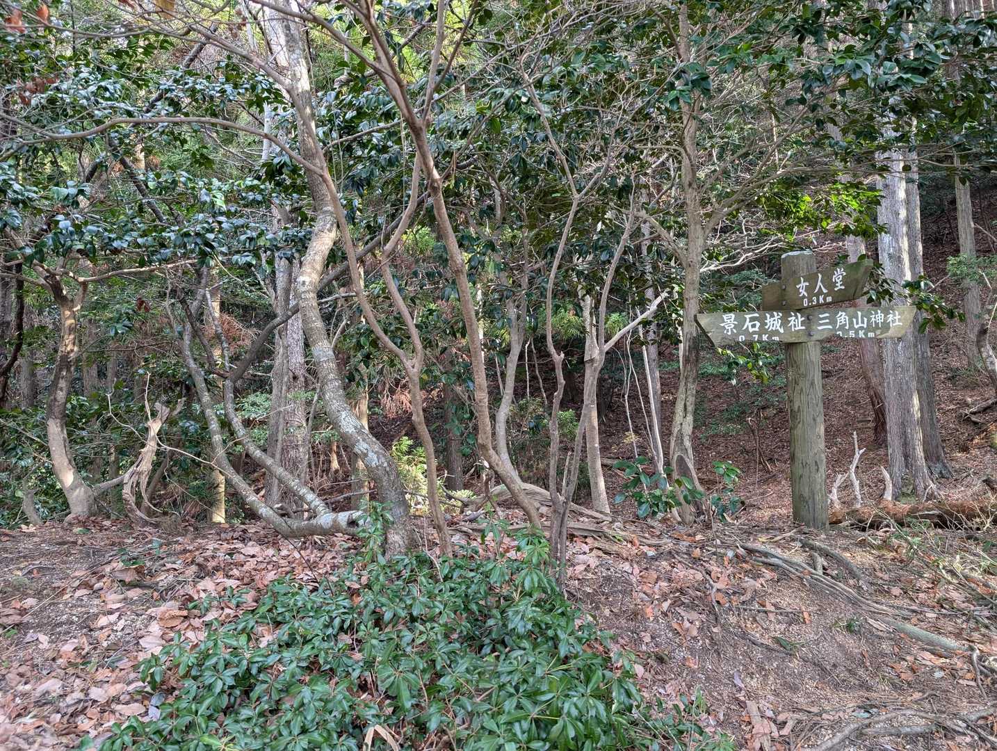 分岐　まずは三角山神社へ