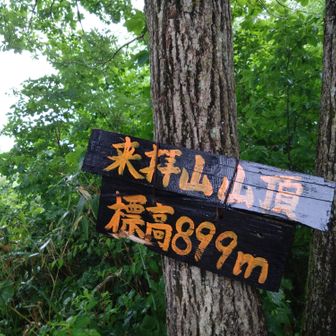 天気悪くて眺望なし！
