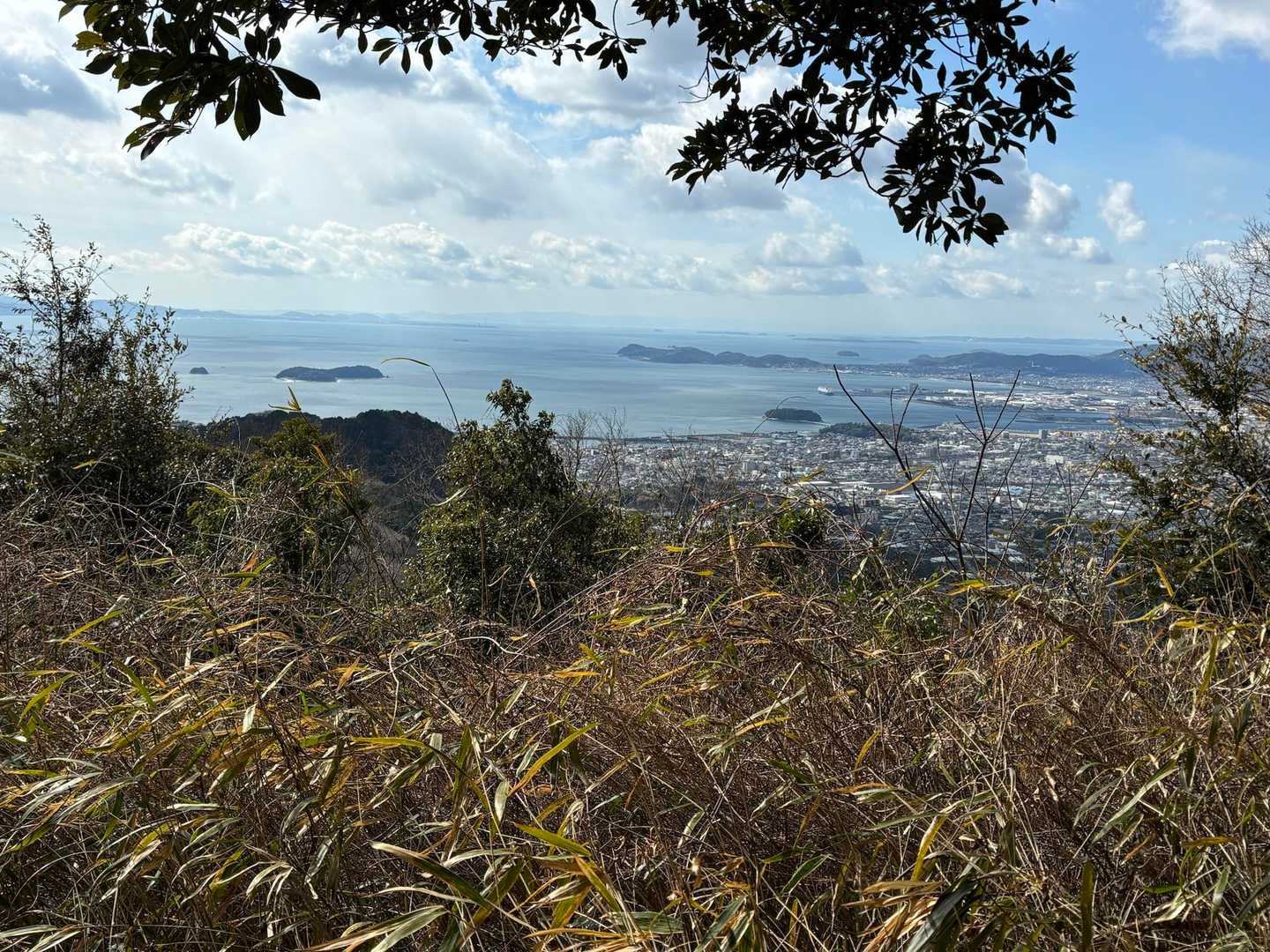 山頂手前の眺望