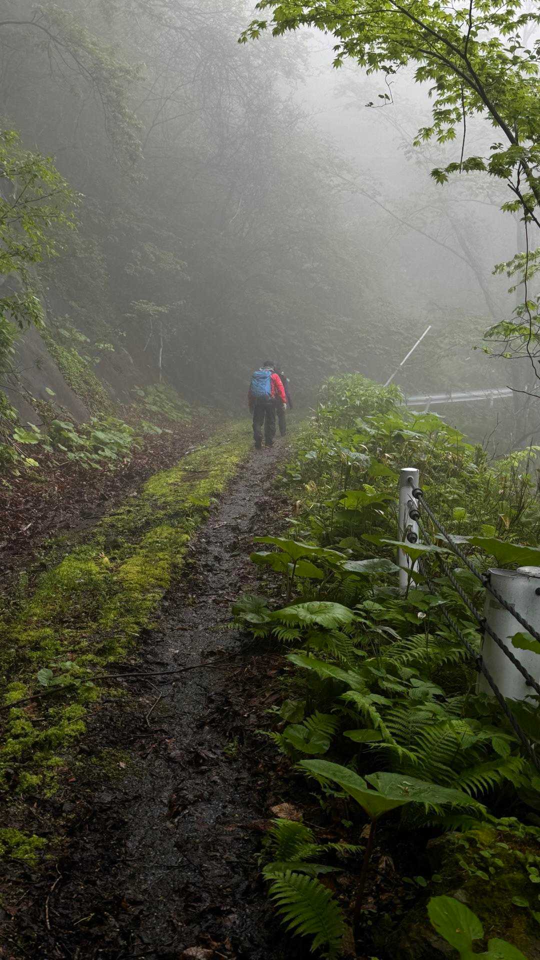 さてさて今回のメインベント台場山に登ります。生憎の天候ですが今シーズン初の山行になりました