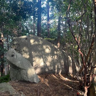 アシカの親子岩を見に寄り道