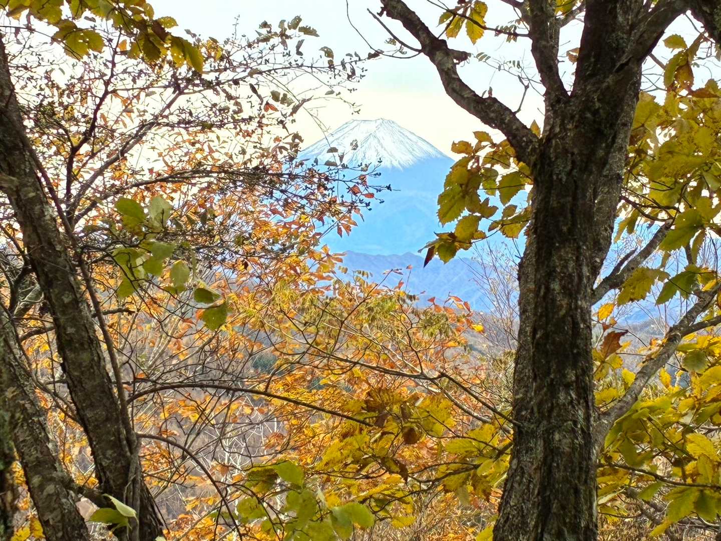 小屋平バス停-石丸峠-榧ノ尾山 縦走コースの写真