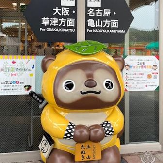 ぽこ太