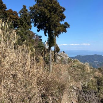 綺麗に整備された石段を登ると
あ！っという間に
天空の鳥居が見えて来ました