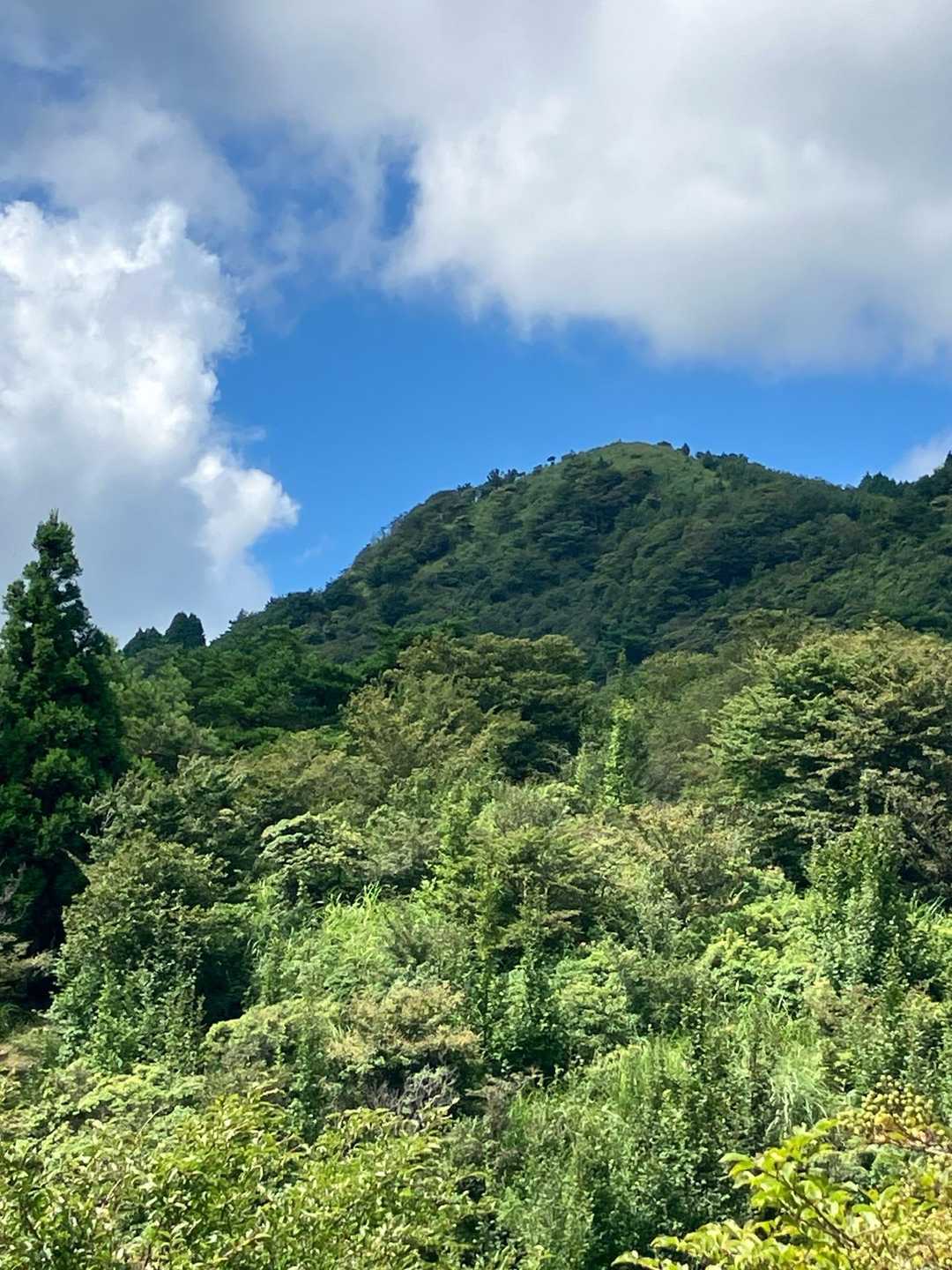 市原峠-千ヶ峰 往復コースの写真