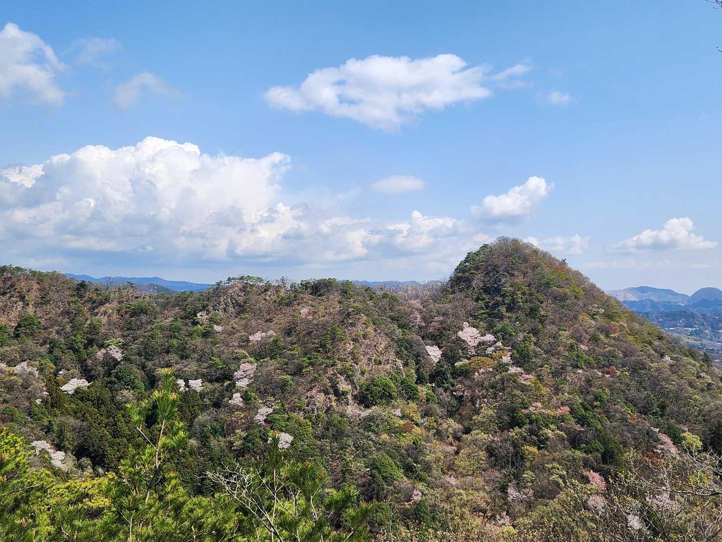出尾根コース登山口-三床山 周回コースの写真