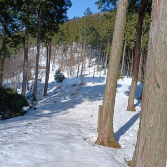 大海里山方面です