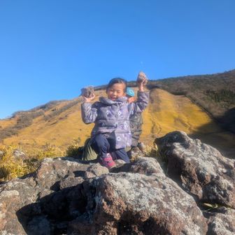 おにぎりに似ている石をゲット