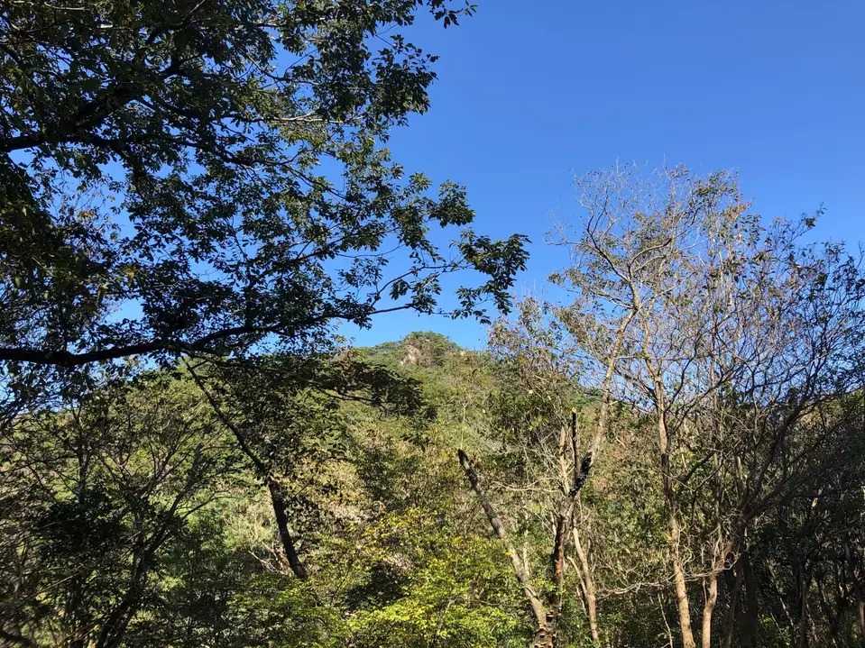 摩耶別山の写真