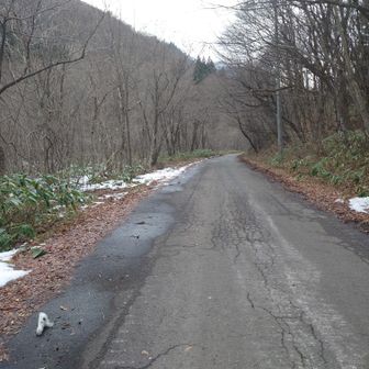 三方倉山入口に寄り道です。