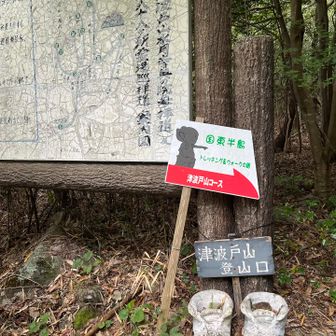 霊場なのね

トレードマークの靴
