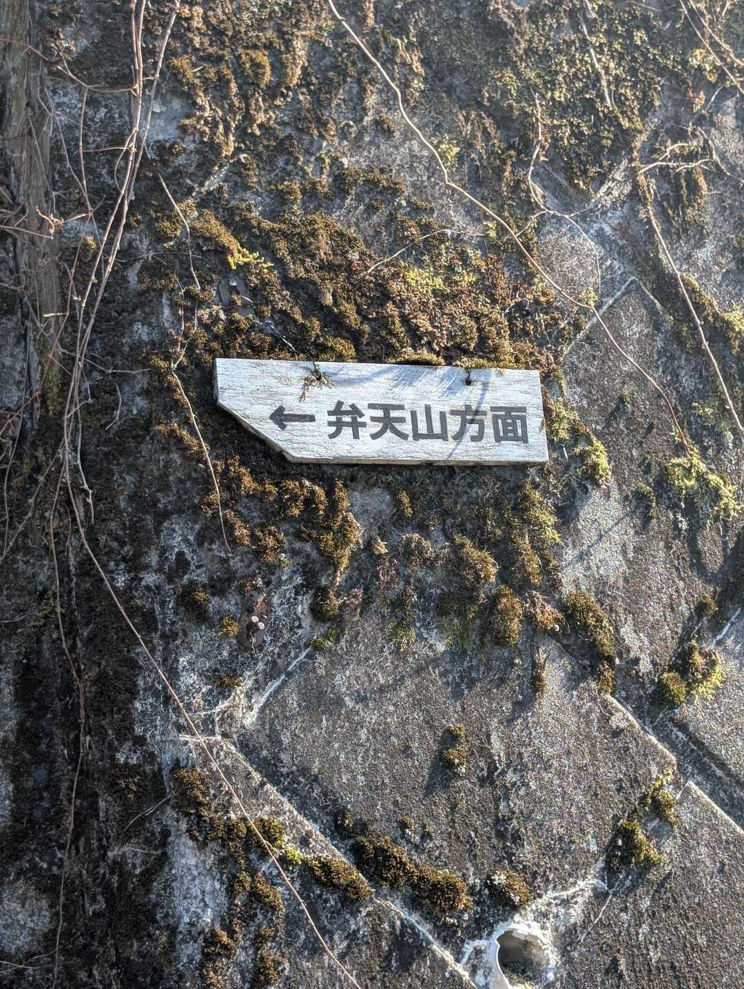 そして、次はピークハント⛰️⛰️⛰️