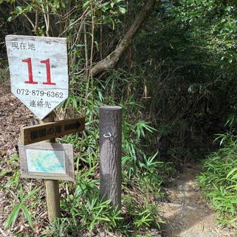 ここから激下りします。