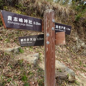 花見山へも行ってみよう。