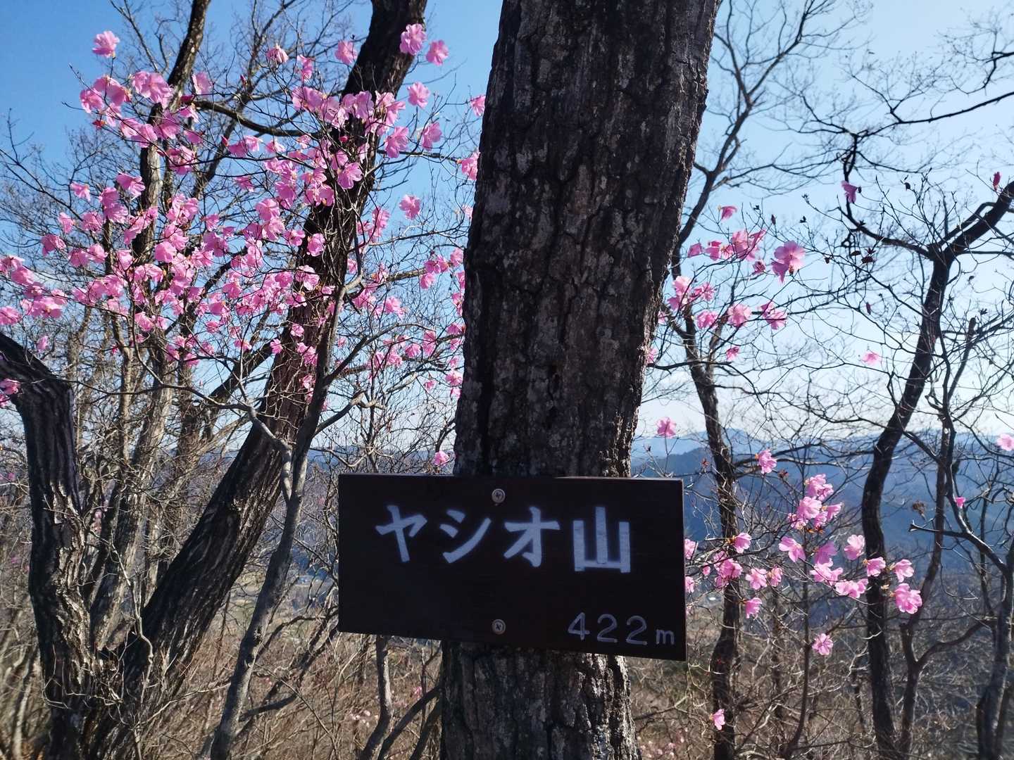 出尾根コース登山口-三床山-天ヶ岳-林山-金原山 周回コースの写真
