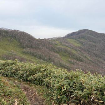 西尾根コースで下山します