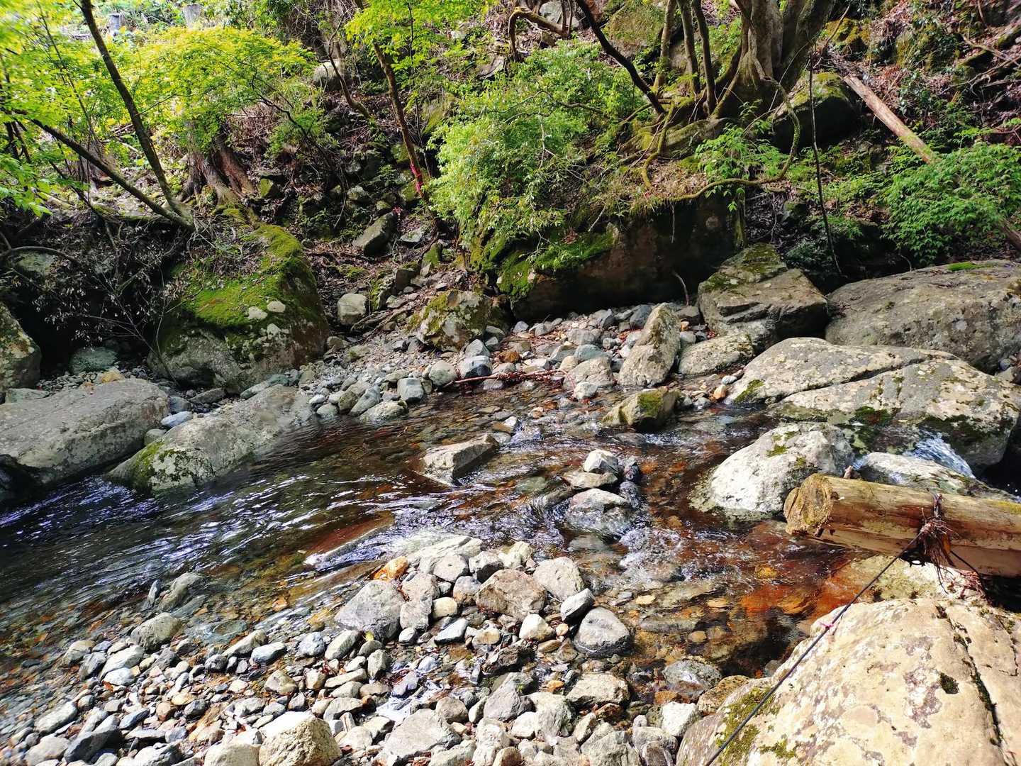 下山時は水量がいくらか減り、ドボンもなく、無事渡渉👍