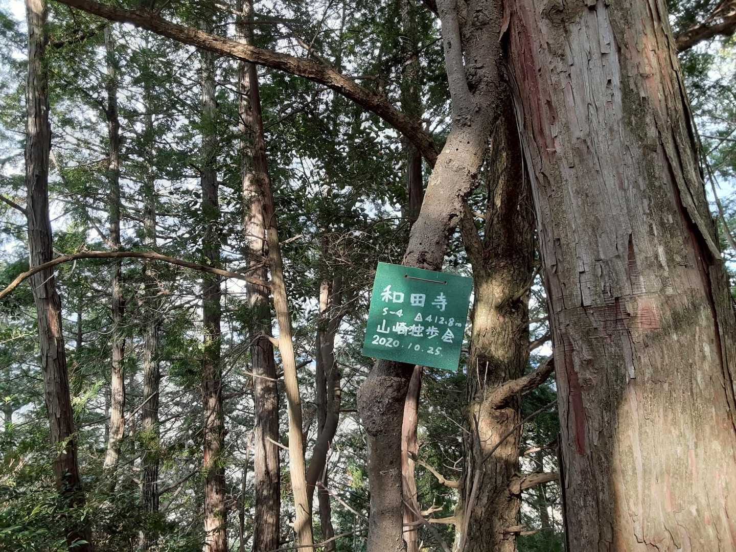 和田寺？
カウントされへんピーク。