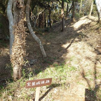 宝篋城城趾のルートにも行けるようですが、YAMAP上にはルート表記がありません💦