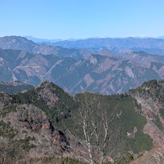 いやぁぁぁ✨ちょこちょこ眺め最高です🤩