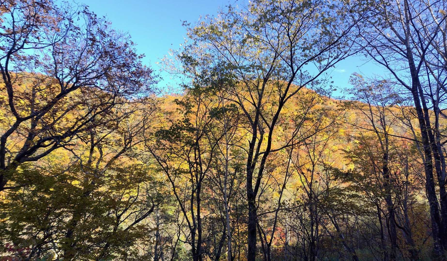 無事に下山🙌💨
すっごい疲労感だけど、すっごい楽しかったです‼️

駐車場からの景色。
朝は薄暗く分からなかったけど、ここも紅葉がとても美しいです✨