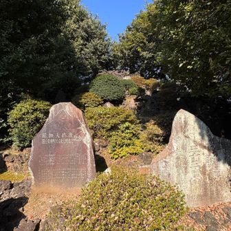 豊島長崎の富士塚のピークGET