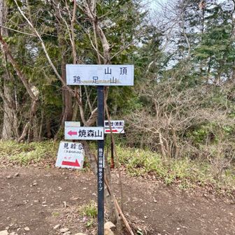 あっという間に鶏足山w