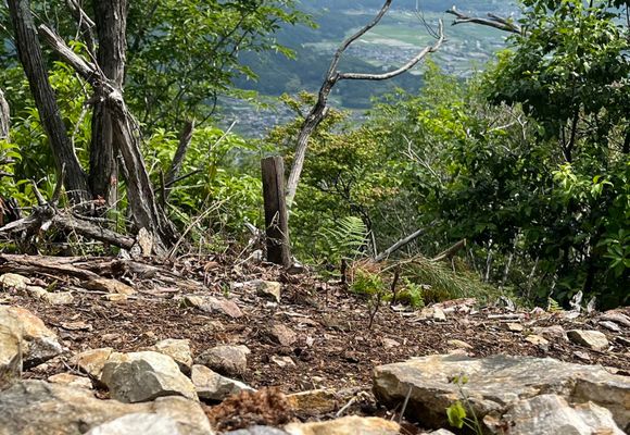 ニの山（兵庫・298m）| 登山ルート・天気 | YAMAP / ヤマップ