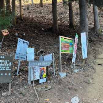 1度目はここを知らず下から1時間ほど掛けて股峠まで来ました。
この登山口からは2度目。股峠まですぐに着きます。
