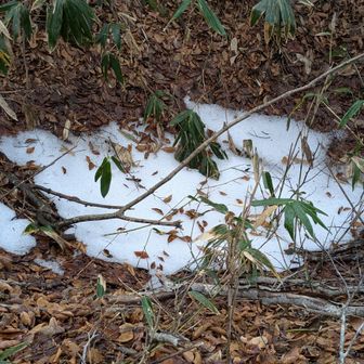 西方ケ岳付近は登山道の雪❄️が溶けて濡れてるので下山は注意⚠️
アップダウンが多くて西方ケ岳までわりとキツかった〜💦
