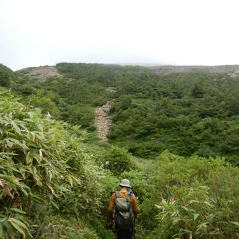 前の急登を登ります