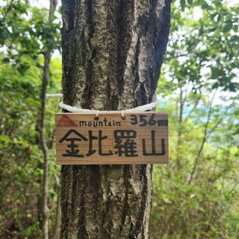 金刀比羅山
