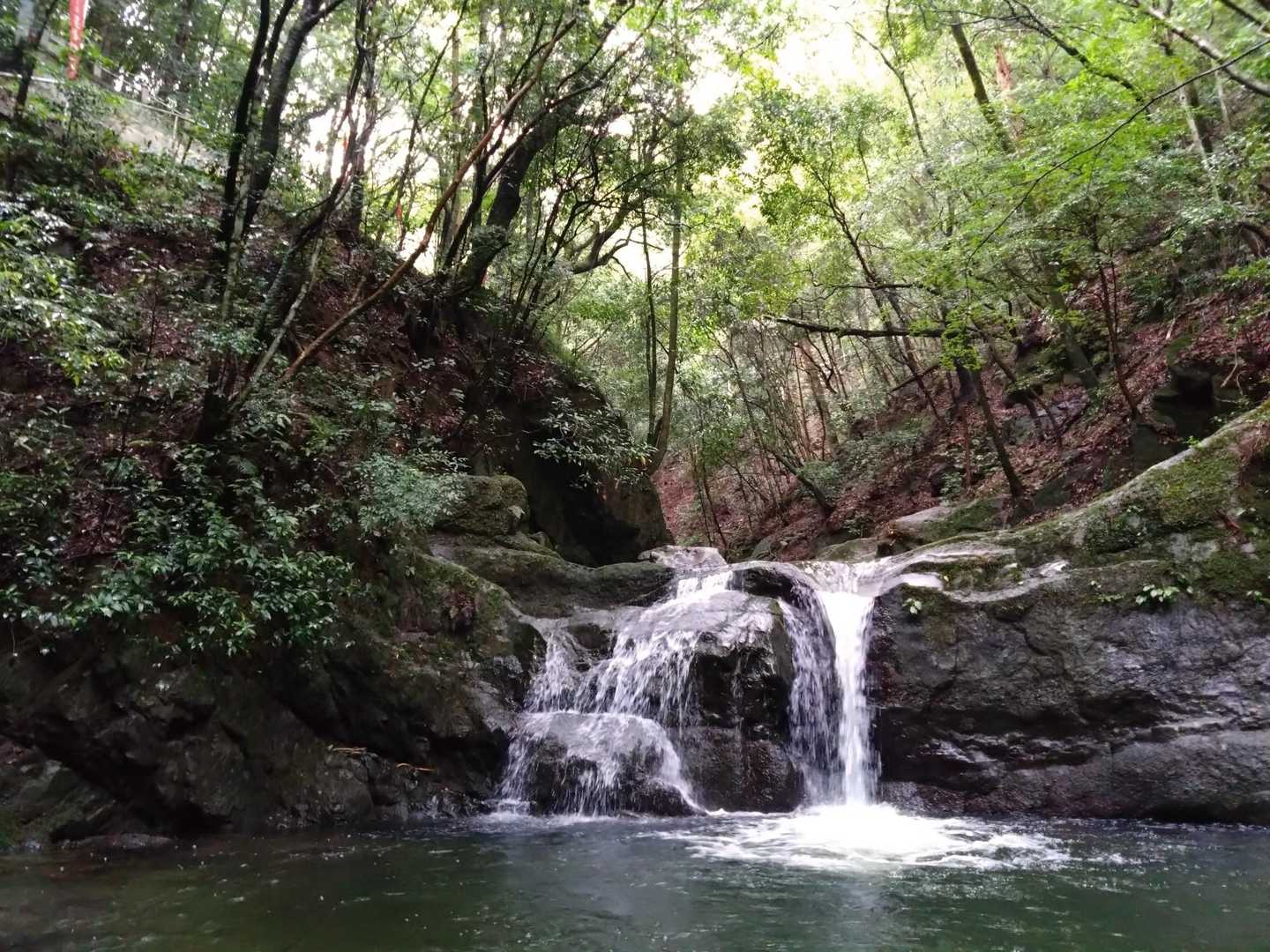 七宝龍寺本堂-経塚権現山登り口-燈明ヶ岳 往復コースの写真