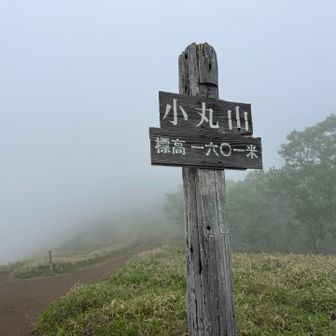 小丸山に戻ってきてホッとする🥹
残りの天空回廊の階段はキツイけど頑張ります😰

昨晩、夜中の23時頃に自宅付近でフクロウ🦉の鳴き声が聞こえてテンションが上がって⬆️睡眠不足😆でした❗️カッコウ同様に1日限りの通過のみかも❓ですが、感動しました〜💕スマホに鳴き声を記録してあります👂✨