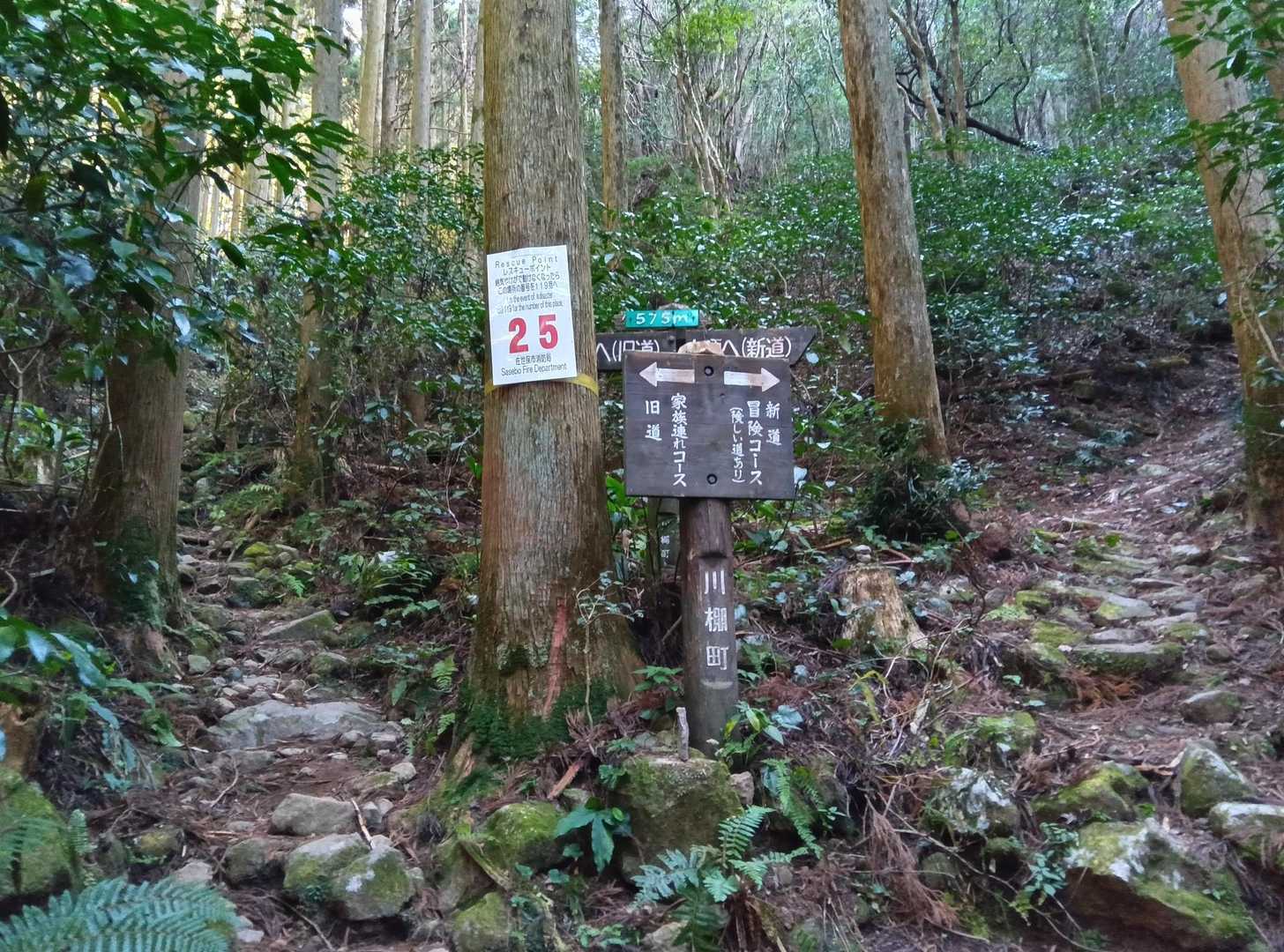 虚空蔵山 往復コースの写真