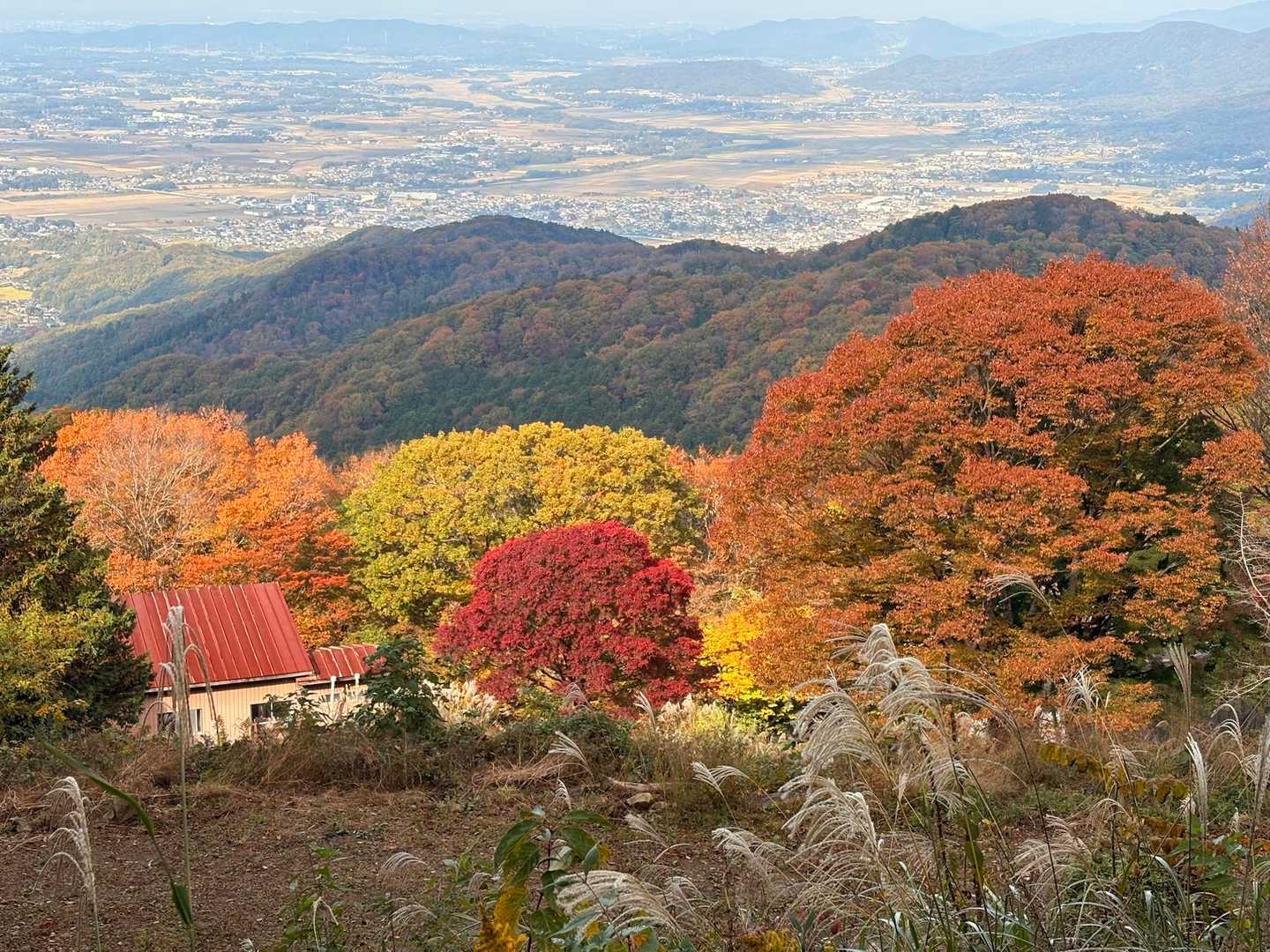 キャンプ場に着きました！

いいね、いいね、筑波高原キャンプ場　工事が終わったら、またテント泊したいです