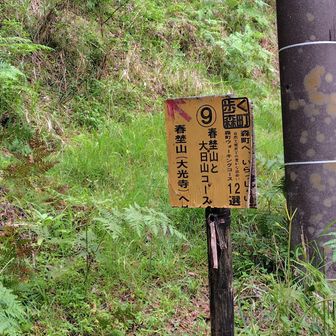 ここから入山。でも、このルートの取りつきも（他の方の活動日記にもあった通り）めちゃくちゃ分かり難い！でもまあ、なんとか、それっぽいルートを発見。