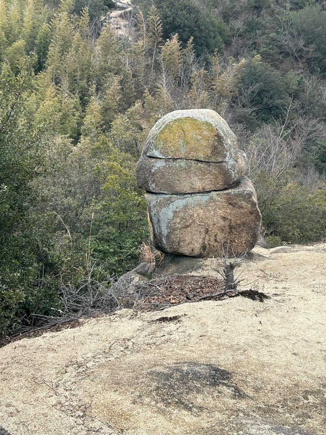 どうしてこうなってるのかしら？