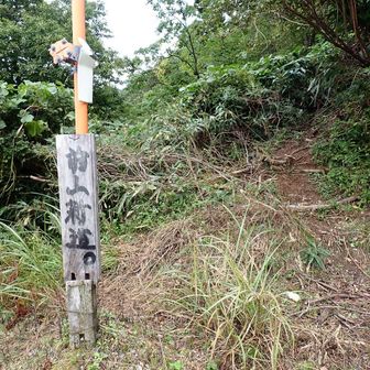 二度目の前山新道。でした🤗