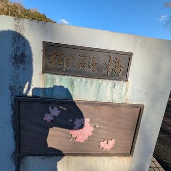 御殿橋
大名庭園へ
楽山園の北側
大名御殿方面へ
※御殿の大名庭園は有料  入口は南側から