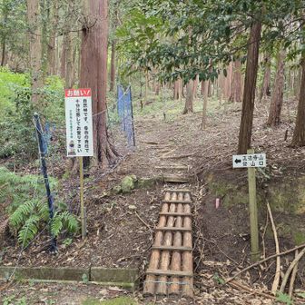 林業用作業道が横切っているが真っすぐが登山口