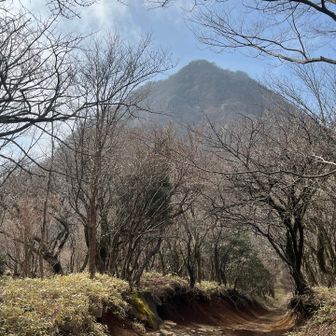 猪鼻嶽／岳とも呼ばれる所以です