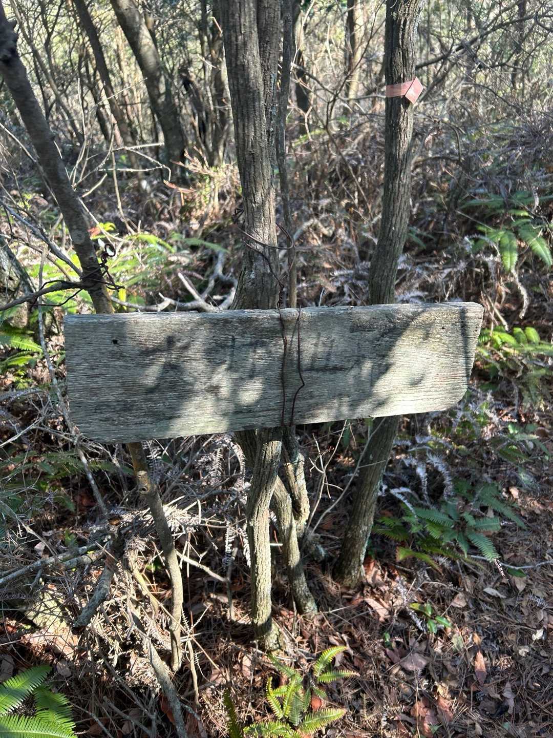 ？たぶん、大打山？