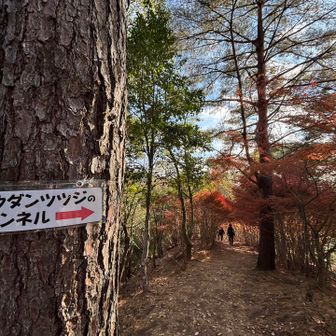 わぁー、見えてきたよ‼️