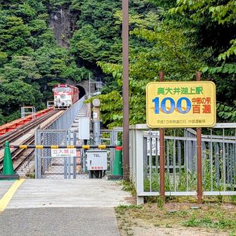 本数が少ないので往復電車が見えて良かった