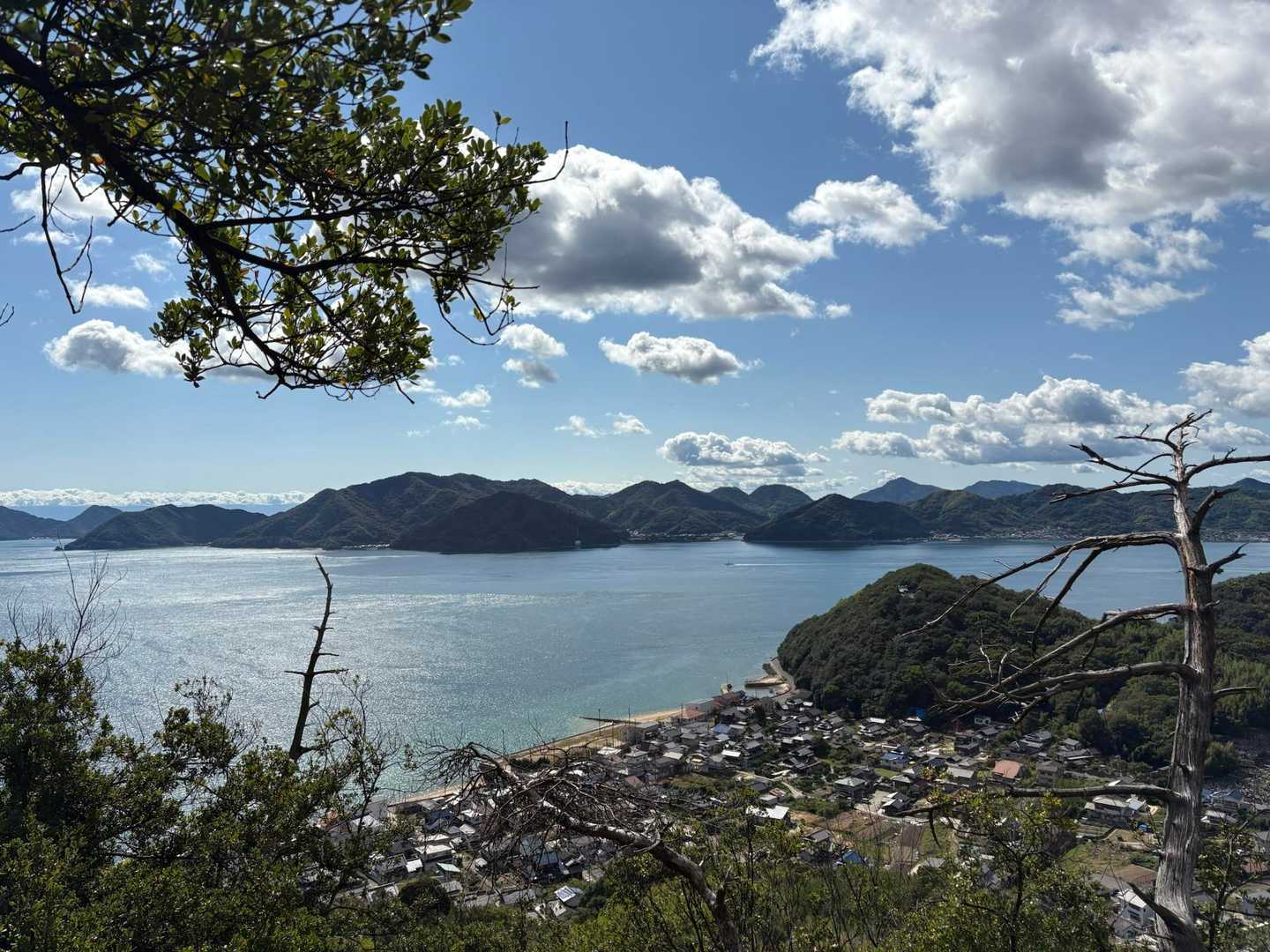 高見山遊歩道入り口-高見山 往復コースの写真