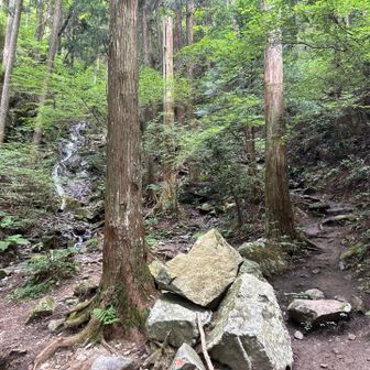 細尾谷ルートへの取り付け